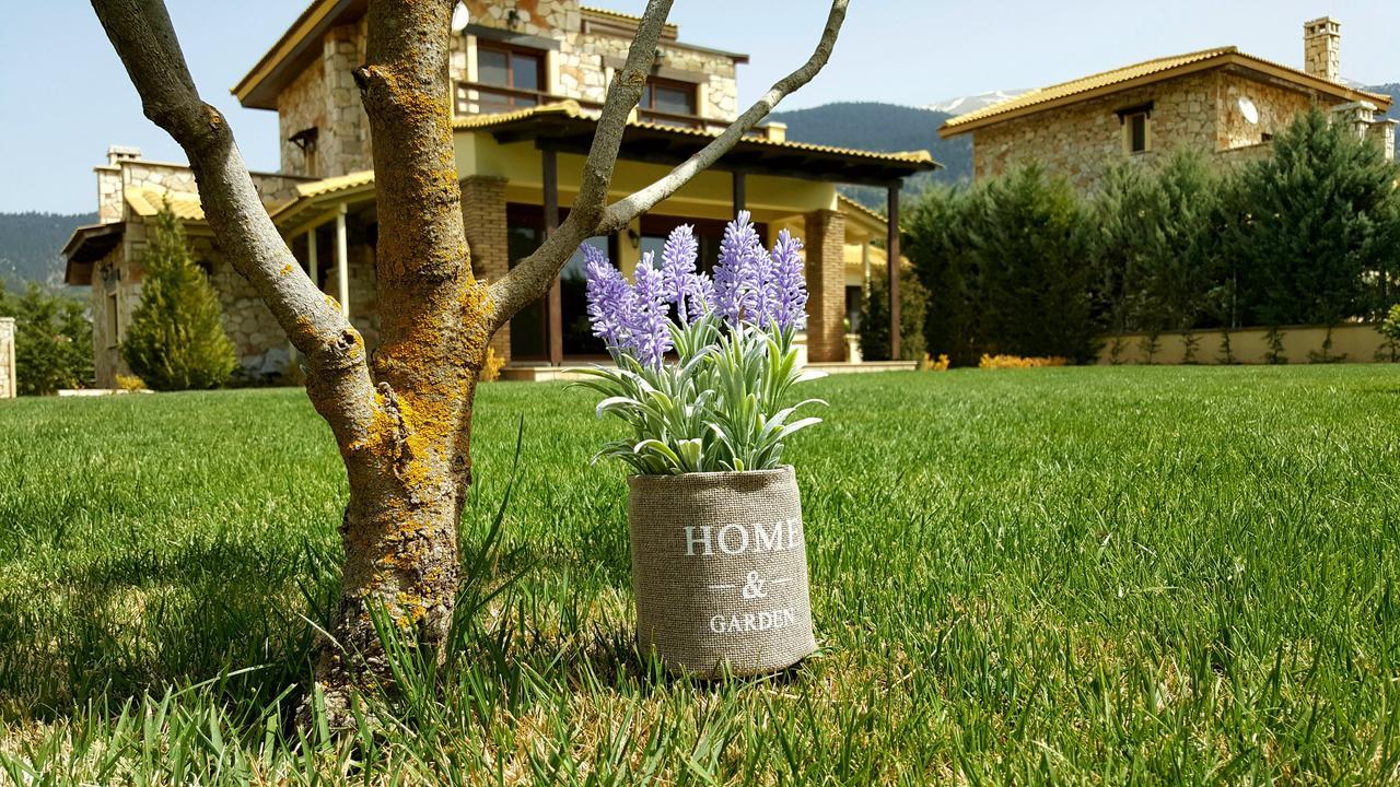 Mountain Chalet Livadi Arachova Exterior foto